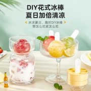 自制棒棒糖冰球 带盖圆形制冰盒制冰模具--黄色