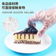  一次性PE手套 100只装--普厚款0.4规格